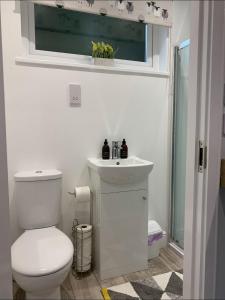 a bathroom with a toilet and a sink and a window at Lora Cabin in Oban