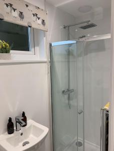 W łazience znajduje się prysznic i umywalka. w obiekcie Lora Cabin w mieście Oban