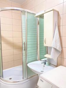 W łazience znajduje się prysznic i umywalka. w obiekcie ZOGU Apartments - City Center w Prisztinie
