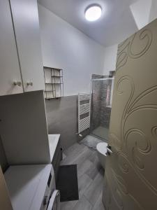 een badkamer met een douche, een toilet en een deur bij La casa di Chicco in Trieste