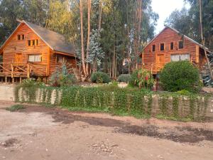 a wooden house in the middle of a forest at Cabañas Cuento de Hadas Horcon in Puchuncaví