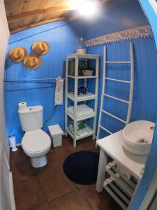La salle de bains bleue est pourvue de toilettes et d'un lavabo. dans l'établissement Casa dos Flamingos, à Murtosa