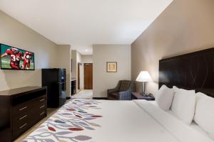 a hotel room with a bed and a chair at Red Roof Inn Pecos in Pecos