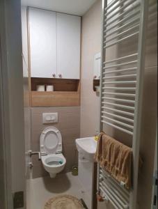 een kleine badkamer met een toilet en een wastafel bij ApartmanM&M in Banja Luka