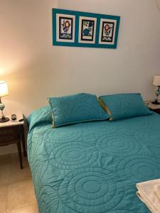 1 cama con edredón verde en una habitación en Aires del Estero en Santiago del Estero