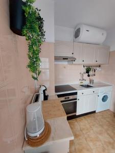 a kitchen with a plant hanging from the wall at Coluna Mar in Quarteira +11 photos