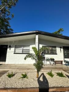 a shadow of a cat in front of a house at Bohemian 1 Bedroom- Minutes from Busch Gardens in Tampa