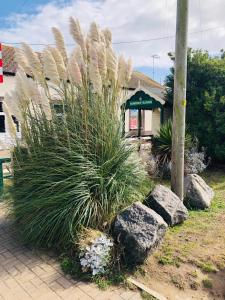 Cosy holiday home at Romney Sands外面的花园