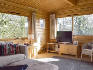 a living room with a television in a log cabin at Cwm Gain in Llanrian