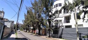 an empty street with a white building and trees at Casa Moya Vallecito in Arequipa