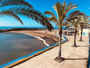 einen Strand mit Palmen und Wasser in der Unterkunft Madeira Inn The Typical House in Calheta