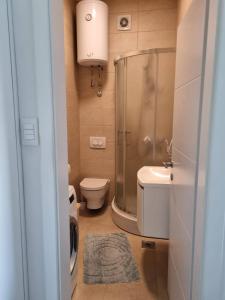 La salle de bains est pourvue d'une douche, de toilettes et d'un lavabo. dans l'établissement Apartments with a parking space Postira, Brac - 727, à Postira