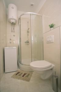 a bathroom with a shower and a toilet in it at Apartments with a parking space Kastel Kambelovac, Kastela - 21071 in Kaštela