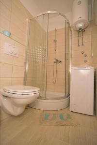 a bathroom with a shower and a toilet and a sink at Apartments with a parking space Kastel Kambelovac, Kastela - 21071 in Kaštela