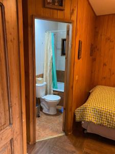Koupelna v ubytování Hostal el Nogal Pucón + 37 fotografií