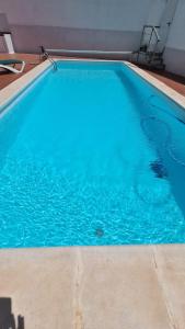 a large blue swimming pool with blue water at Oasis house in Nazaret