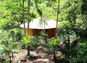 une petite maison au milieu d'une forêt dans l'établissement Reserva Ecologica Vive Copalitilla, à San Miguel del Puerto