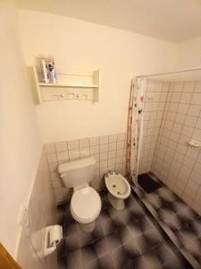 a small bathroom with a toilet and a shower at Tren Del Desierto in Villa Unión