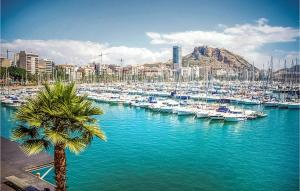 a group of boats docked in a harbor with a palm tree at Stunning Apartment In Alicante With Outdoor Swimming Pool in Alicante