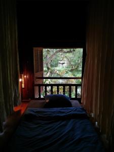 Φωτογραφία από το άλμπουμ του Mận Homestay - Lục Yên Homestay and Tour σε Lục Yên