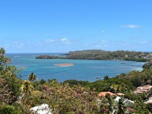 vista di una cassa d'acqua con dentro imbarcazioni di Villa du Clapotage a Le Robert