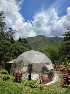 a dome tent in a garden with mountains in the background at Colibamboo Domo Glamping in Pacho