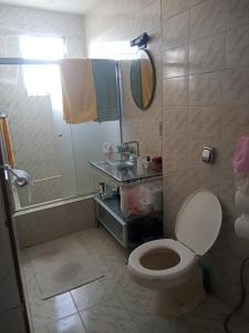 a bathroom with a toilet and a shower at Quartos Prox Engenhão e Norte Shopping in Rio de Janeiro