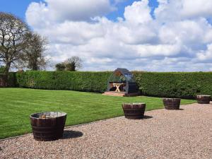 einen Garten mit einem kleinen Gewächshaus im Gras in der Unterkunft Plough Cottage in Anderby