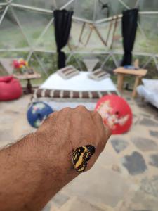 a hand with a monarch butterfly painted on it at Colibamboo Domo Glamping in Pacho