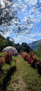 a garden with a tent in the middle of a field at Colibamboo Domo Glamping in Pacho