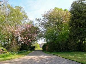 a road with trees on both sides of it at The Factors House - 25752 in Kilmartin
