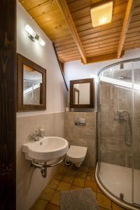 e bagno con lavandino, servizi igienici e doccia. di Tagyon Birtok Royal Apartmanház a Tagyon