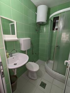 a green bathroom with a toilet and a sink at Apartments Normannia in Dobra Voda