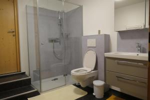 un bagno con doccia, wc e lavandino di Appartement Nummer 12 a Going
