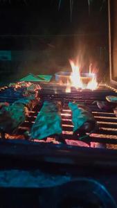 a group of food being cooked on a grill at Luxury Rooms Cinnamon Nature Resort in Beruwala