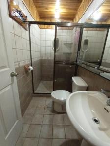 a bathroom with a shower and a toilet and a sink at CERCA A TODO EN COSTA RICA in San Ramón