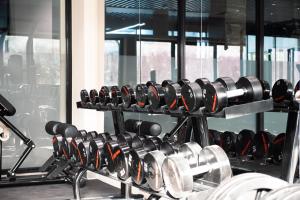 Fitness centrum a/nebo fitness zařízení v ubytování Hotel Tano Guam