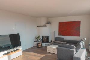 a living room with a flat screen tv and a couch at Panoramahaus am Schlipfweg in Weil am Rhein