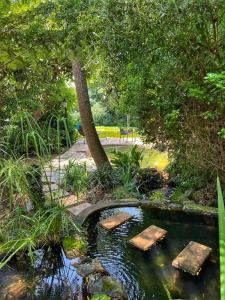 einen Teich in einem Park mit Sprungsteinen darin in der Unterkunft Chocolate Orchid in White River