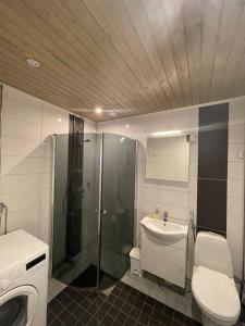 Koupelna v ubytování Apartment Sagittarius Arctic Circle