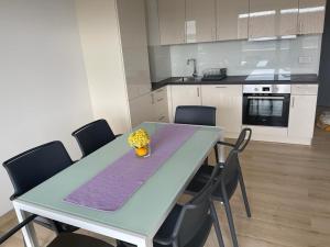 Kuchyň nebo kuchyňský kout v ubytování Kozino Apartments