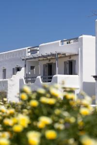 a white building with yellow flowers in front of it at The Nine Graces - Agia Anna - Option With private pool or hot tub in Agia Anna Naxos