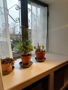 three potted plants sitting on a window sill at Gîte LA Maison LA in Saint-Aubin-dʼAubigné