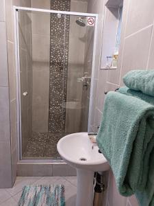 a bathroom with a shower with a sink and a shower at Phoenix, Langenhovenpark, Bfn near Inibos parkrun. in Bloemfontein