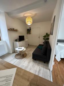 Televízia a/alebo spoločenská miestnosť v ubytovaní Joli appartement proche centre ville, thermes, Aquensis