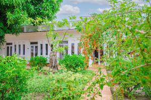 Zahrada ubytování Thiên Tân Hotel