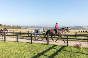 a group of people riding horses on a track at The Annex, Westerlands, Graffham in Graffham