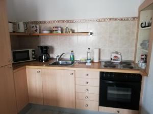 a small kitchen with a sink and a stove at Pension Winter in Mücheln