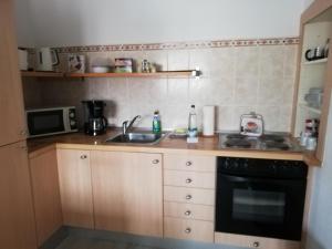 Kuchyň nebo kuchyňský kout v ubytování Pension Winter