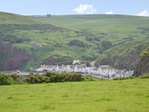 un grupo de casas en una colina en un campo en Mill Shore Cottage - 26817, en Pennan